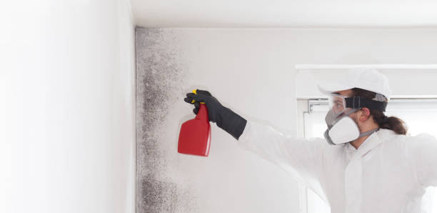 Best Office Mold Removal Services  in Huntingdon, PA