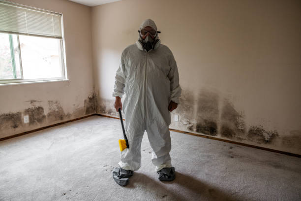 Mold Testing and Removal in Huntingdon, PA