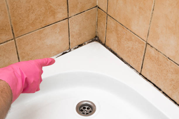 Best Crawl Space Mold Removal  in Huntingdon, PA